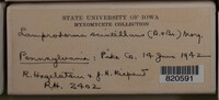 Image Associated With the Occurence